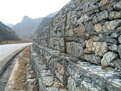 Gabion mesh